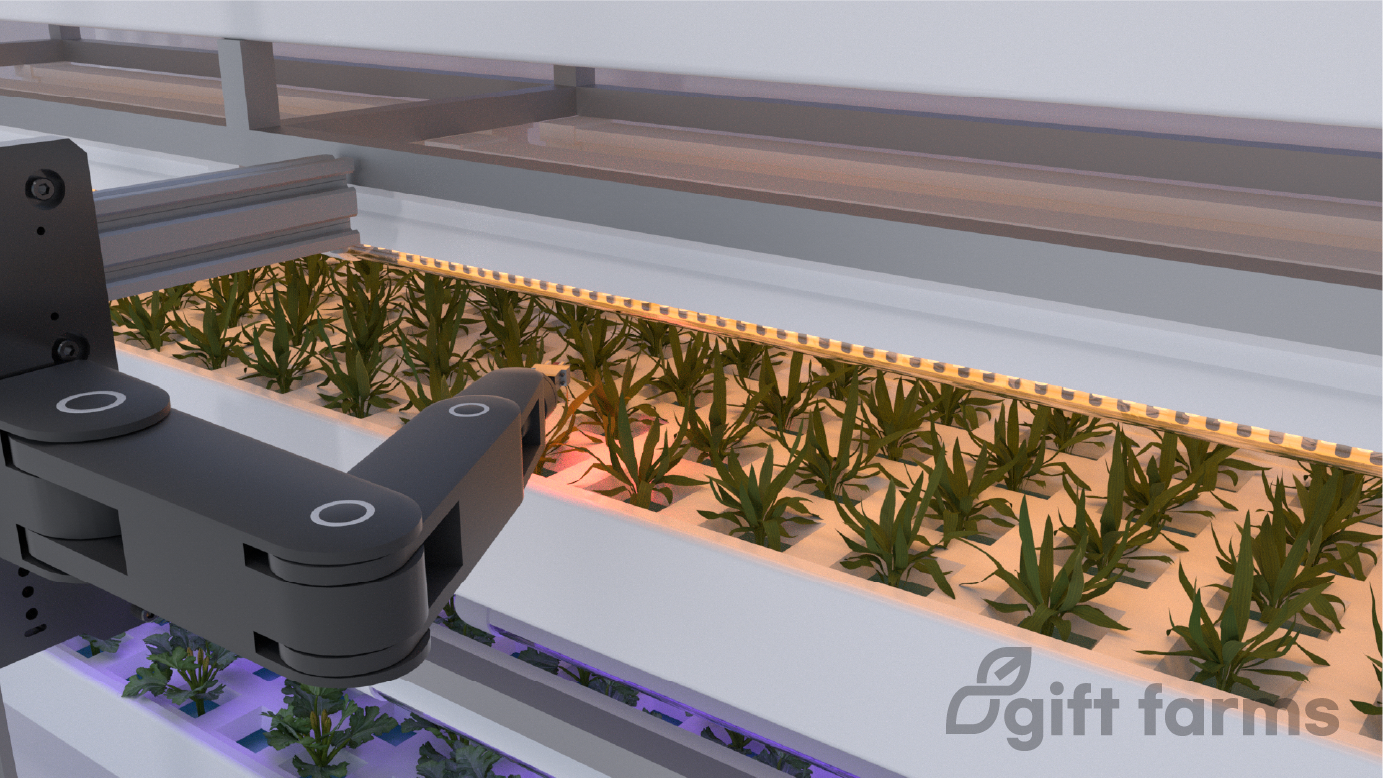 robot harvest photo